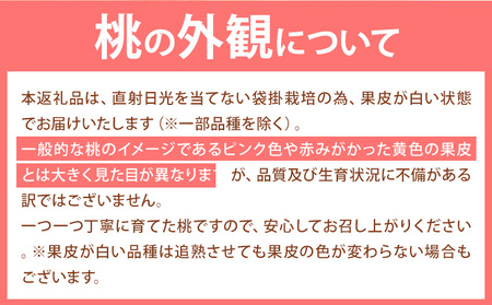 【令和7年度産先行予約】桃 岡山の桃 約750g 《2025年6月下旬-9月上旬頃出荷》 ご家庭用 訳あり 白桃 岡山 はくとう スイーツ フルーツ 果物 デザート 旬 モモ もも 先行予約 送料無料