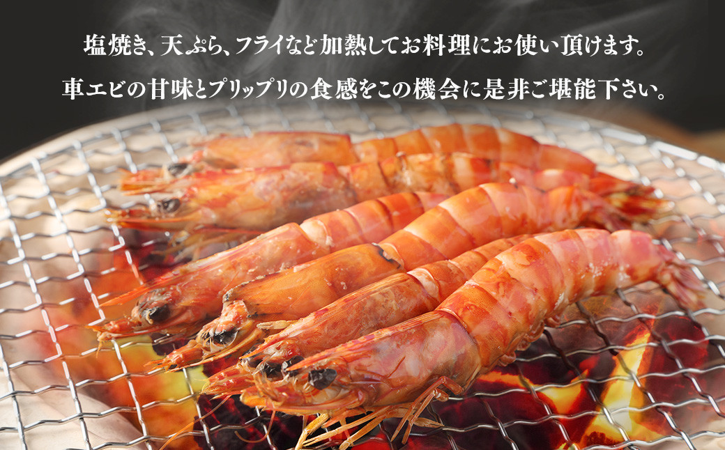 冷凍車エビ(約500g) 
