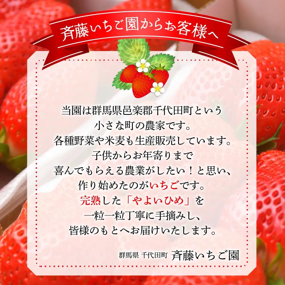 【クール便】2027年2月発送 いちご  やよいひめ 約270g×8