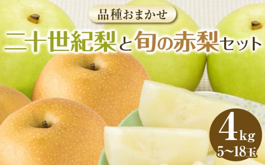 283.【先行予約】【品種はおまかせ】二十世紀梨と旬の赤梨セット ※2025年8月下旬～9月下旬頃に順次発送予定【先行予約 梨 なし 果物 フルーツ くだもの 鳥取県 北栄町 おすすめ 人気 送料無料】