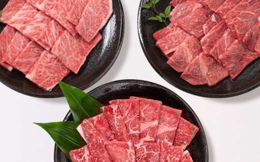 宮崎牛 焼肉3種食べ比べセット1.1kg ブランド牛 ミヤチク 内閣総理大臣賞4連覇 <2.7-4>【10月1日より寄附金額見直し】焼肉 牛肉