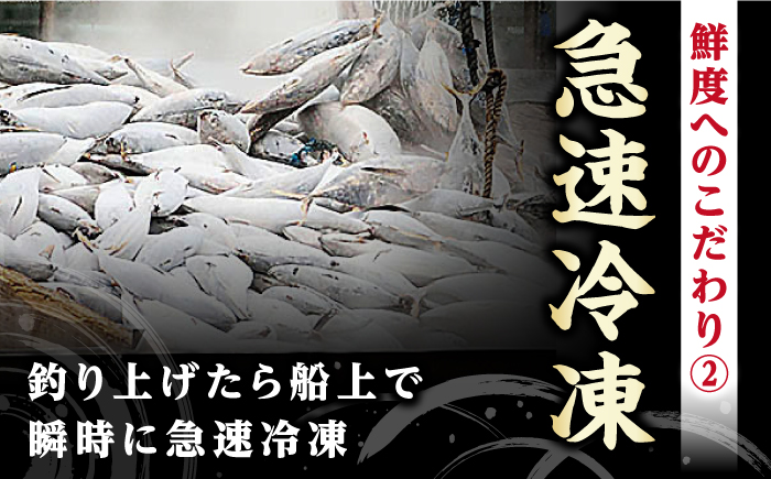 【3回定期便】土佐料理司本店 鰹たたき2節セット（4〜5名分） / かつお 鰹 カツオ かつおのたたき 高知市【株式会社土佐料理司】 [ATAD053]