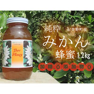 ふるさと納税 紀美野町 純粋みかん蜂蜜1.2kg和歌山県紀美野町産