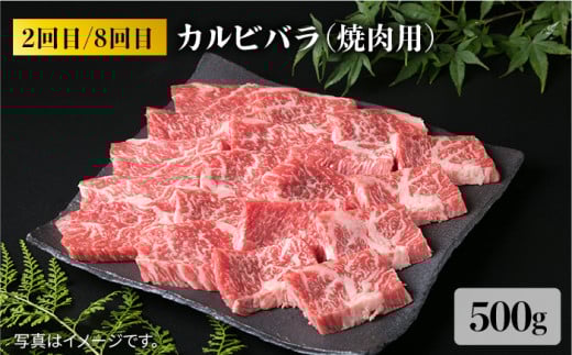 【全12回定期便】 糸島 黒毛和牛 食べ比べ セット 2人前 約 6 kg【月1回】 《糸島》 【糸島ミートデリ工房】 [ACA111] 定期便 肉 ランプ シャトーブリアン サーロイン ランキング 