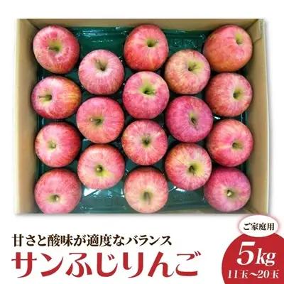 りんご（サンふじ）５ｋｇ　１１～２０玉　ご家庭用　0056-2629