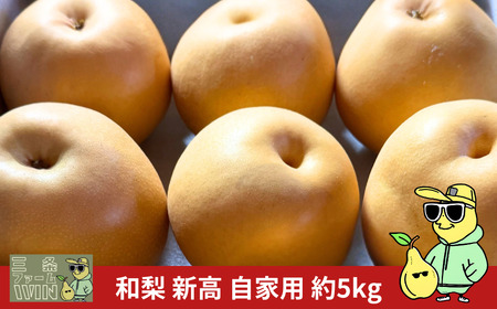 和梨 新高 自家用 約5kg 令和7年度 [三条ファームWIN] 【010S839】