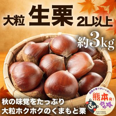 ふるさと納税 益城町 【先行予約】 熊本県産 旬の生栗 スイーツ作りにも! 大粒栗 2L以上 約3kg (益城町)
