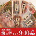 【ふるさと納税】土佐大月海産　海の幸セット　9〜10品