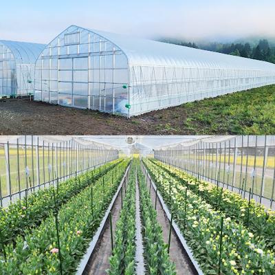 ふるさと納税 東成瀬村 トルコギキョウおまかせセット (10〜15本)【先行受付】|07_khf-011501 |  | 03