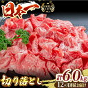 【ふるさと納税】【全12回定期便】長崎和牛切り落し 計6.0kg（約500g×12回）牛肉 和牛 切り落とし すき焼き しゃぶしゃぶ 500g 定期便 東彼杵町/有限会社大川ストアー [BAJ033]