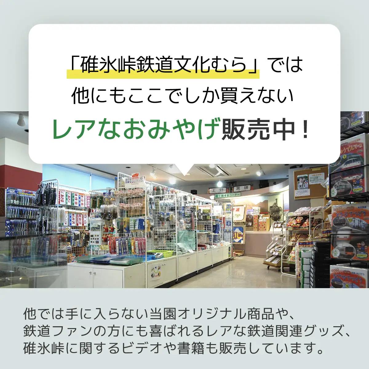 トートバッグ（Ｌサイズ・ＥＦ６３） ANAE006