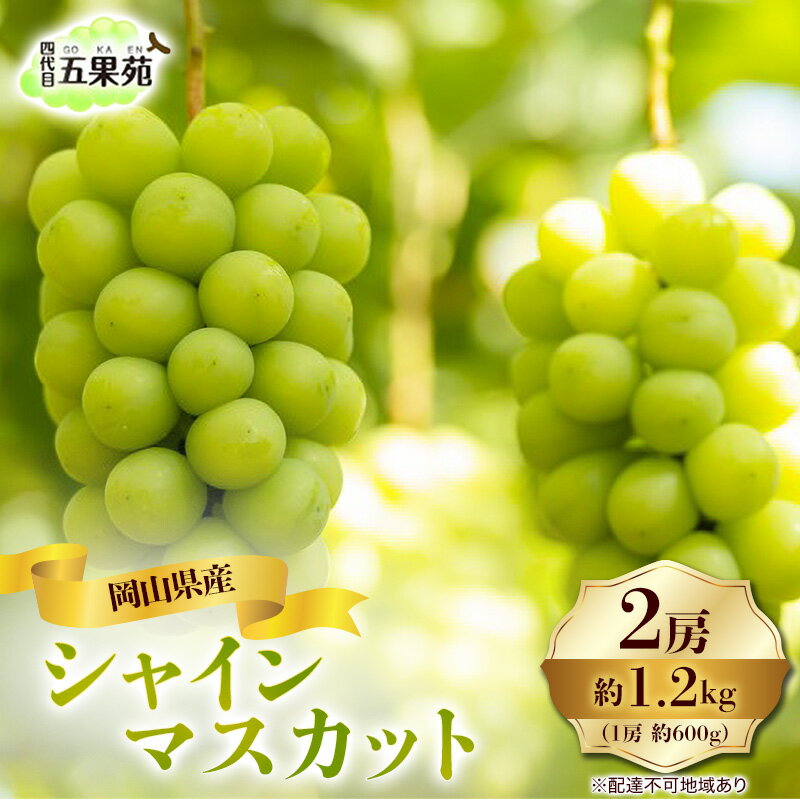 【ふるさと納税】ぶどう 2026年 先行予約 シャイン マスカット 2房 合計1.2kg（1房 約600g）岡山県産 四代目 五果苑 果物類 フルーツ 甘い 種なし 皮ごと 詰め合わせ　お届け：2026年9月中旬～2026年10月下旬