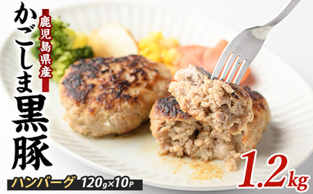 特製 黒豚 ハンバーグ 120g×10個 生 ハンバーグ 岡村商店 A-258 ハンバーグ ハンバーグ ハンバーグ ハンバーグ ハンバーグ