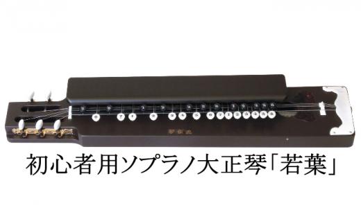 
            初心者用ソプラノ大正琴「若葉」[№5659-1351]
          