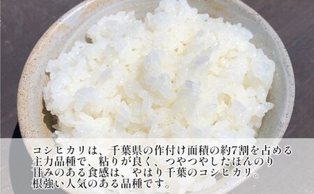 コシヒカリ 白米 令和7年産 千葉県産 コシヒカリ【10kg(5kg×2)】【定期便4ヶ月】