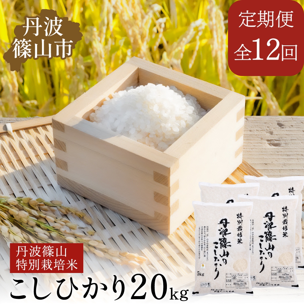 【定期便】※令和7年 新米※ 特Aランク特別栽培米　コシヒカリ　20kg（全12回）