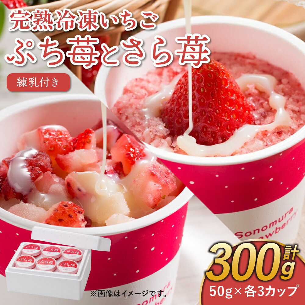 【ふるさと納税】完熟 冷凍 いちご ぷち苺 と さら苺 各3カップ 合計6カップ 50g×6カップ 合計300g 練乳付き 園村苺園 イチゴ 苺 さちのか 練乳 フルーツ 果物 デザート 小分け カップ 急速冷凍 贈答品 贈り物 のし対応 国産 九州産 熊本県産 宇城市産 送料無料