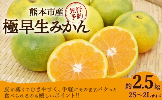 ＜ R8年熊本地震復興支援 ＞極早生みかん 約2.5kg （ 2S ～ 2L サイズ ） くだもの 果物 フルーツ みかん ミカン 果実 果汁 果肉 秋の味覚 国産 熊本県産 旬 【 2026年10月上旬～11月上旬発送予定 】