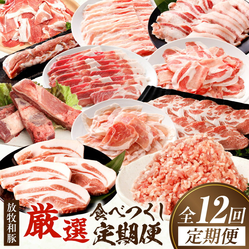 【ふるさと納税】【全12回】《放牧和豚》厳選食べつくし定期便 豚肉 定期便 ロース 肩ロース とんてき バラ モモ こま切れ スペアリブ ヒレ ミンチ スライス ブロック トンテキ しゃぶしゃぶ すき焼き 焼肉 しゃぶすき すきしゃぶ 肉 お肉 精肉 豚 国産 宮崎県産 国産豚肉