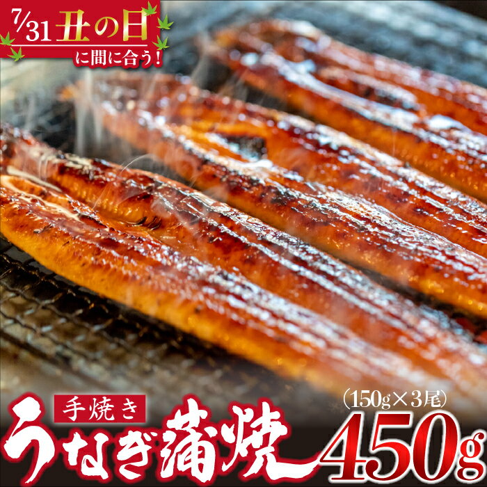 【ふるさと納税】＜いろは＞うなぎ蒲焼 国産 150g × 3尾 (有頭)　[M686] ウナギ 鰻 炭火焼き ふっくら 肉厚 うな重 ランキング 土用の丑の日 鹿児島県 人気 オススメ 宮若市