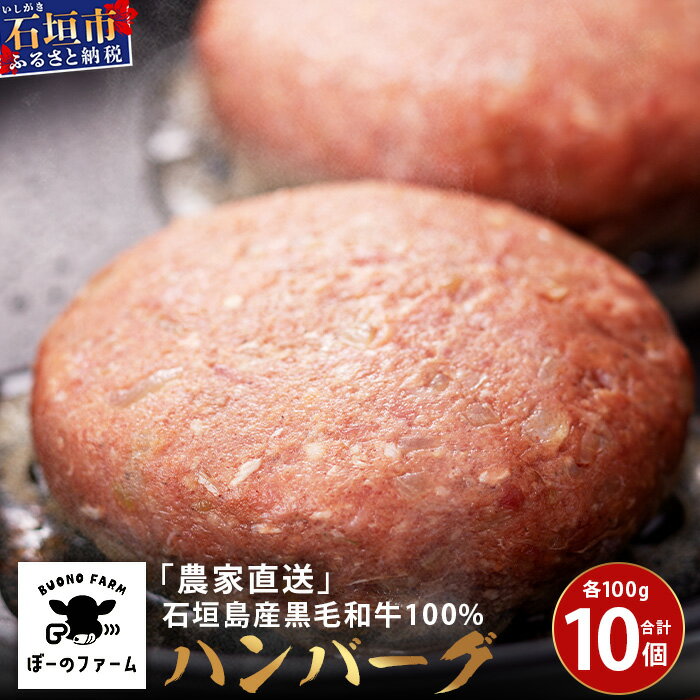 【ふるさと納税】＜先行予約＞「農家直送」石垣島黒毛和牛100％ハンバーグ 100g×10個《2025年3月以降順次発送》 | 沖縄県 石垣 直送 黒毛 和牛 ハンバーグ BO-1