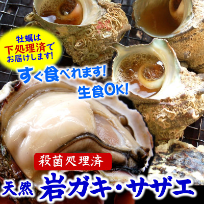 山陰の岩ガキ・サザエ詰合(大きさにより各6～10個)牡蠣は殺菌済　下処理済　生食OK　さざえ砂抜き済【配送不可地域：離島・北海道・沖縄・東北・関東・九州】【1114073】