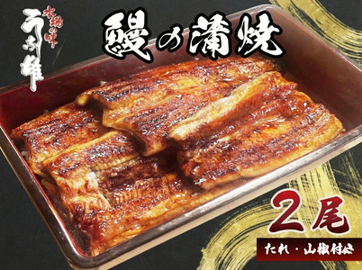鰻 国産 うなぎ 2尾 蒲焼 鰻蒲焼 鰻