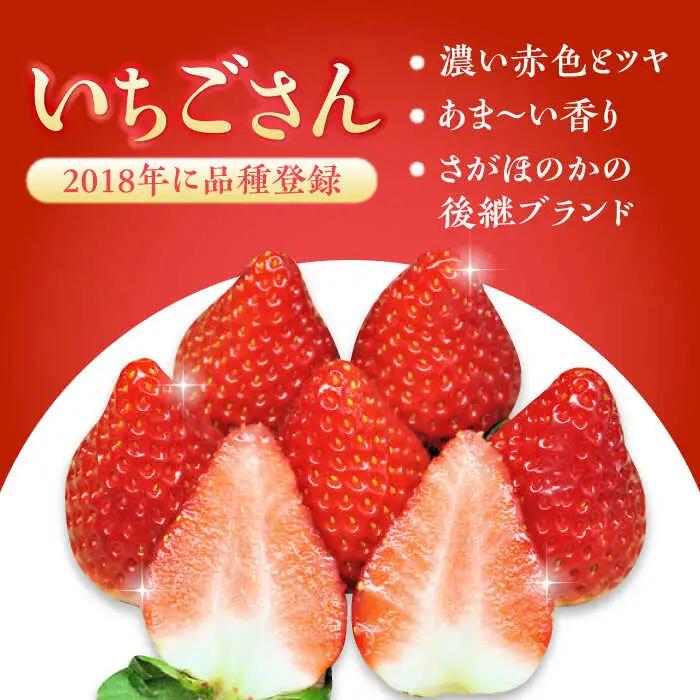 【全4回定期便】いちごさん・パールホワイト / 佐賀県 / かわさきいちご [41ASBJ005]