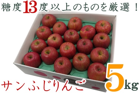 【2025年発送】糖度13度以上厳選！サンふじりんご5kg_H127(R7)