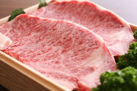 【2026年1月発送】飛騨牛 サーロインステーキ 250g×2枚 [Q3110] 飛騨牛