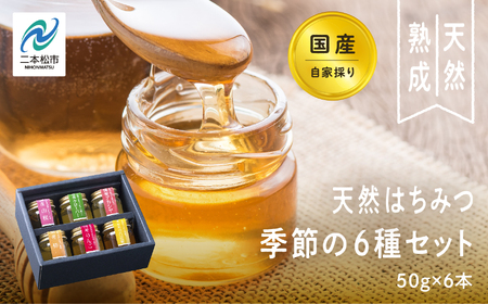 国産天然はちみつ 季節の6種セット | ハチミツ 蜂蜜 蜂蜜 はちみつ ハチミツ 国産 百花蜜 アカシヤ ハニー 天然 セット 詰め合わせ 無添加 おすすめ お中元 お歳暮 ギフト 二本松市 ふくしま 福島県 送料無料【渡辺養蜂場】