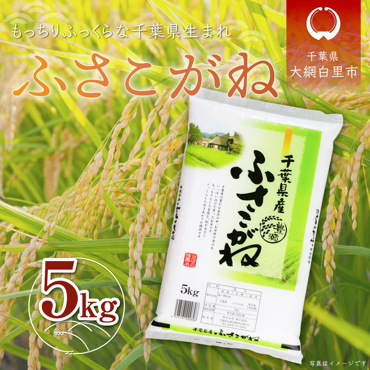 【ふるさと納税】新米 令和8年産 千葉県産「ふさこがね」5kg（5kg×1袋） ふるさと納税 お米 5kg 千葉県産 大網白里市 ふさこがね 米 精米 こめ 送料無料 A048