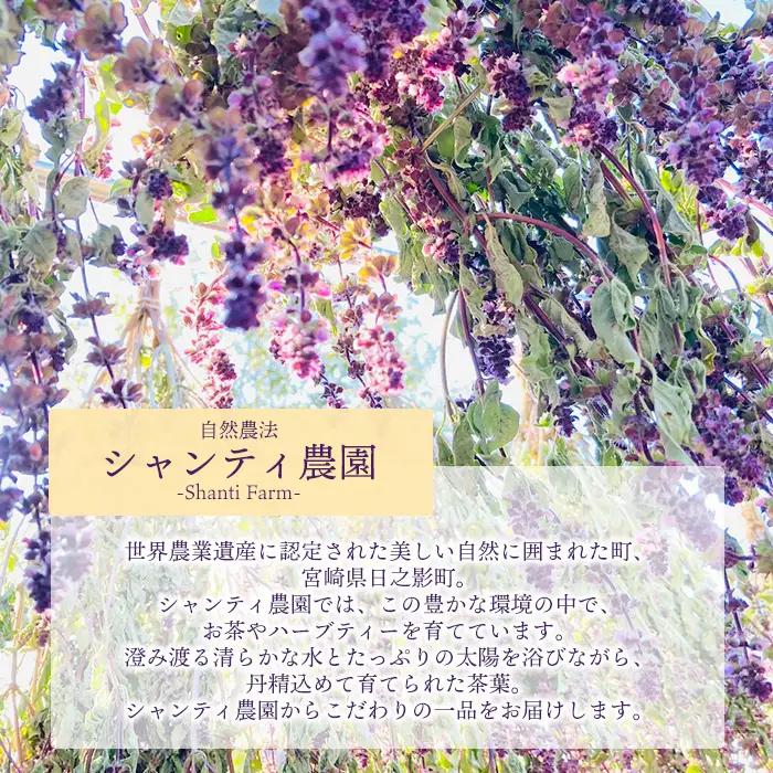 ホーリーバジルティー(20g×3袋) お茶 茶 茶葉 バジル ホーリーバジル 無農薬 無肥料 ノンカフェイン 【MU032】【村おこし総合産業】
