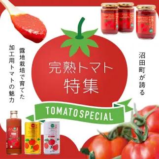 【定期便】契約農家が露地栽培した完熟トマトケチャップ（320g瓶×2本×6ヶ月）保存料 無添加 国産 北海道産 n-0222	