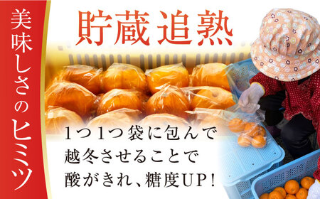 【贈答】【大玉】不知火 約4.5kg（13-15個）ー3月中旬～4月中旬頃に発送ー 長与町/彩咲果樹園 [ECM001] しらぬい 不知火 デコポン でこぽん 柑橘 かんきつ みかん ミカン 蜜柑 大
