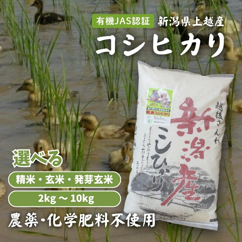 【ふるさと納税】令和7年 新潟県産｜JAS有機栽培アイガモ農法コシヒカリ100% 2kg 5kg 10kg 2キロ 5キロ 10キロ 米 お米 玄米 こしひかり 新潟 送料無料　お届け：ご注文後、2～3週間を目途に順次発送いたします。