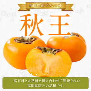 秋王 しっとり柿チップス (1袋) 柿 かき 秋王 ブランド 国産 福岡県 果物 フルーツ おやつ チップス 常温 常温保存 スナック お菓子 ドライフルーツ メール便 【農産物直売所ほたるの里】as