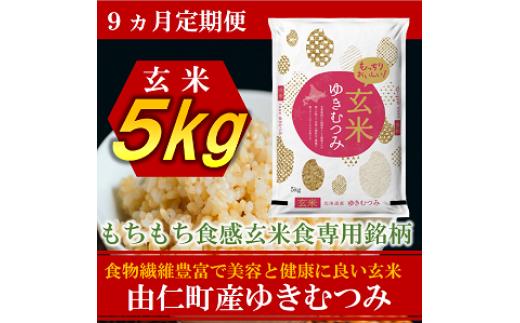 
                  TT14　【9カ月定期】ゆきむつみ　5㎏　計45㎏
                