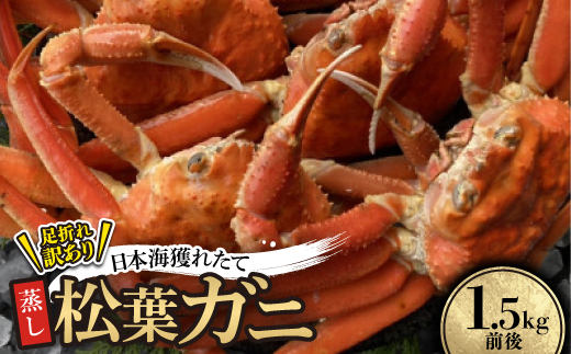 【先行予約】訳あり足が折れた蒸し松葉ガニ1.5kg前後　※11月中旬から順次発送【配送不可地域：離島・北海道・沖縄県】