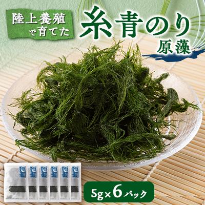 ふるさと納税 いすみ市 陸上養殖あおのり(原藻)　5g×6パック