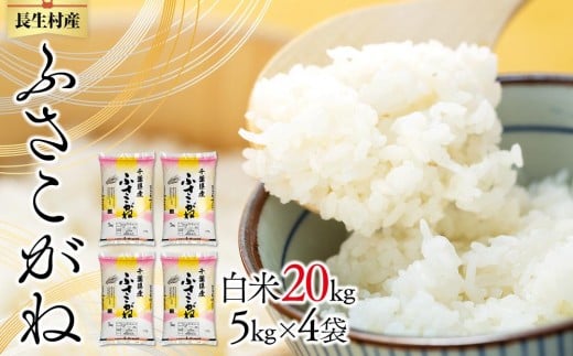 E01-B02-00 令和7年産 長生産ふさこがね（20kg・精米）