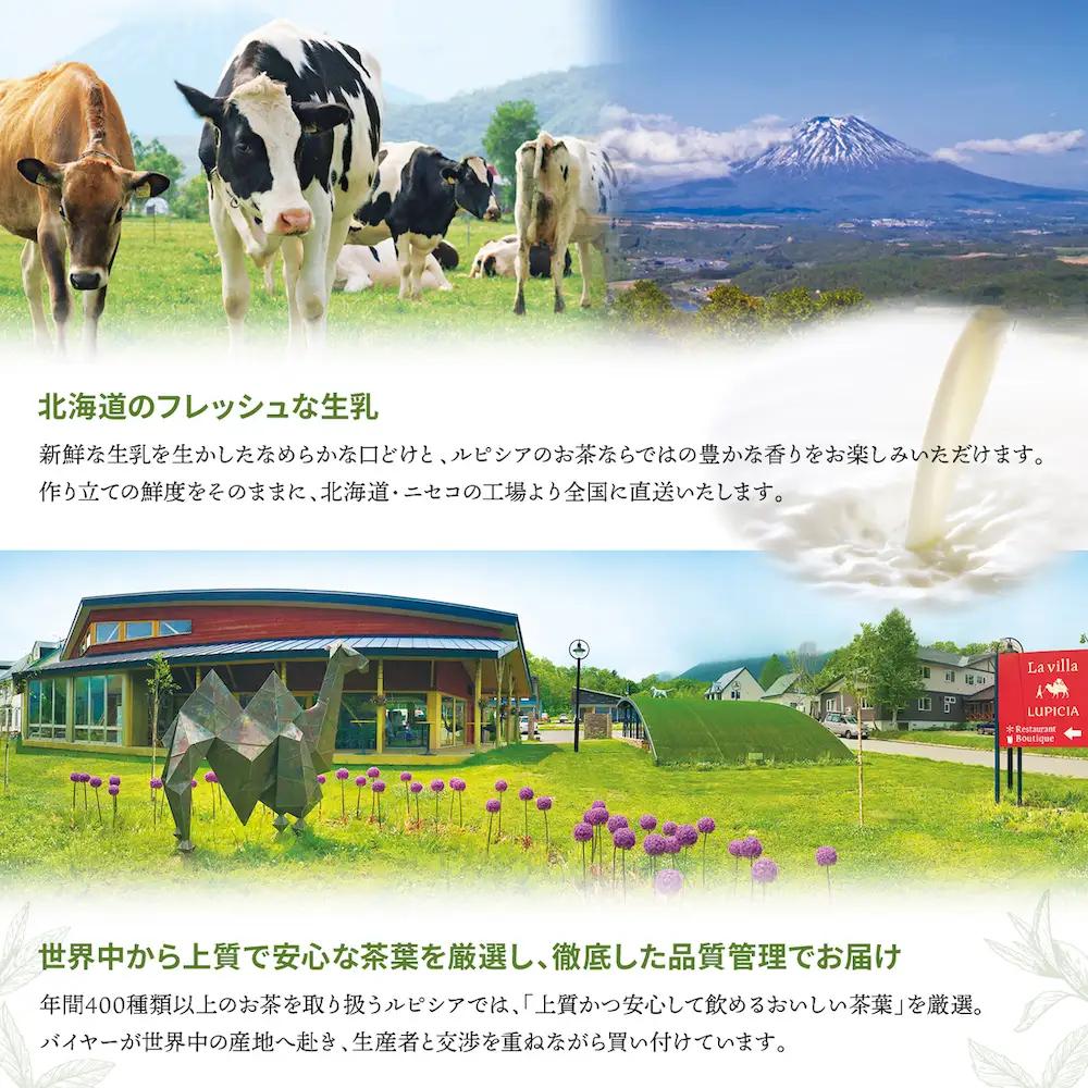 【北海道の生乳×ルピシアのお茶 アイス】グラスandソルベ（ロイヤルミルクティー ASSAM）8個セット【06145】