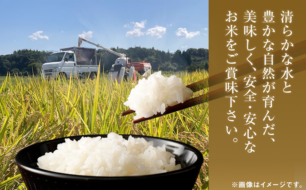 相良村産 清流川辺川米 （ヒノヒカリ）約5kg×4袋