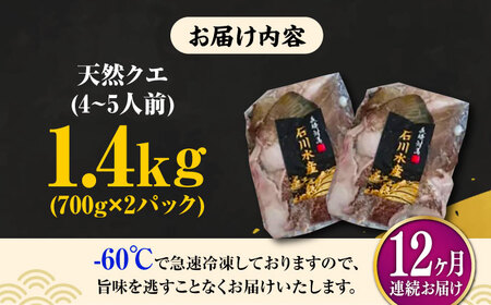 【全12回定期便】【 対馬産 】最高級 クエ 鍋 セット ( 4～5人前 ) 《対馬市》【石川水産】 水炊き  鮮度抜群 海鮮[WAB023]