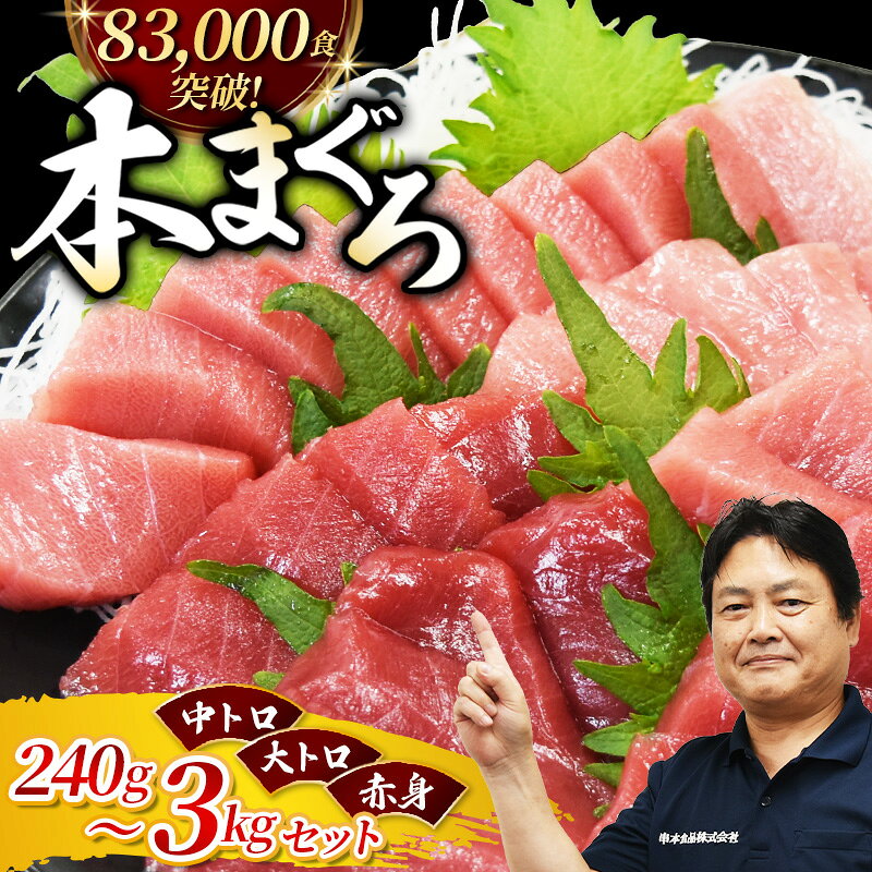 【28日決済分まで年内発送！】本マグロ（養殖）トロ＆赤身セット 500g or 1kg 中トロ 中とろ まぐろ 鮪 本マグロ マグロ 鮪 赤身 トロ 刺身 予約 冷凍 年内配送 海鮮 12月 年内発送 大トロ 柵 お正月 正月