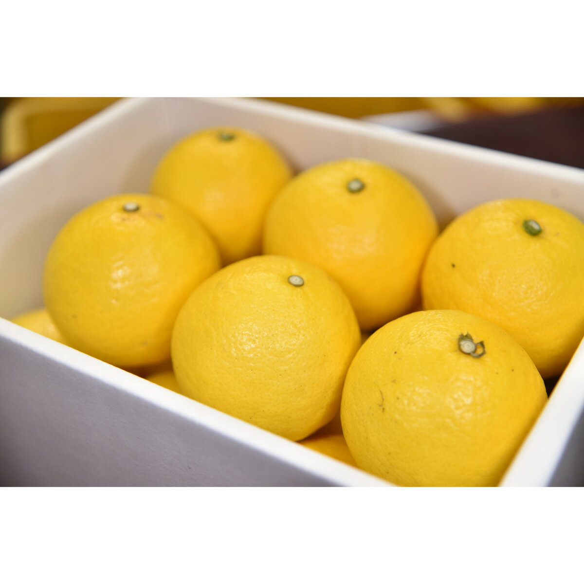 【ふるさと納税】 吉岡農園 すくも小夏 3kg 家庭用 2L 柑橘 果物 フルーツ 高知県産 特産品 旬 季節限定 贈り物 ギフト 贈答品 お取り寄せ 産地直送 みかん 国産 デザート おやつ 甘酸っぱい ビタミンC 栄養 健康 美容 宿毛市 高知県 9000円