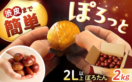 【先行予約】【10月下旬より順次発送】岐阜県産栗「東美濃ぽろたん」 2kg 【季節限定】 / 剥きやすい 大粒 栗きんとん 和菓子 スイーツ デザート 加熱調理用 材料 / 恵那市/ 東美濃農業協同組合 [AUDS001]