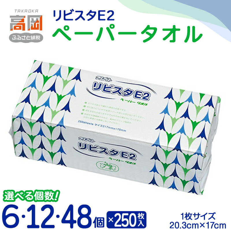 【ふるさと納税】リビスタEペーパータオル250枚 《選べる個数》 6個・12個・48個 ペーパータオル 防災グッズ ティッシュ キッチンペーパー タオル FAD-1766var