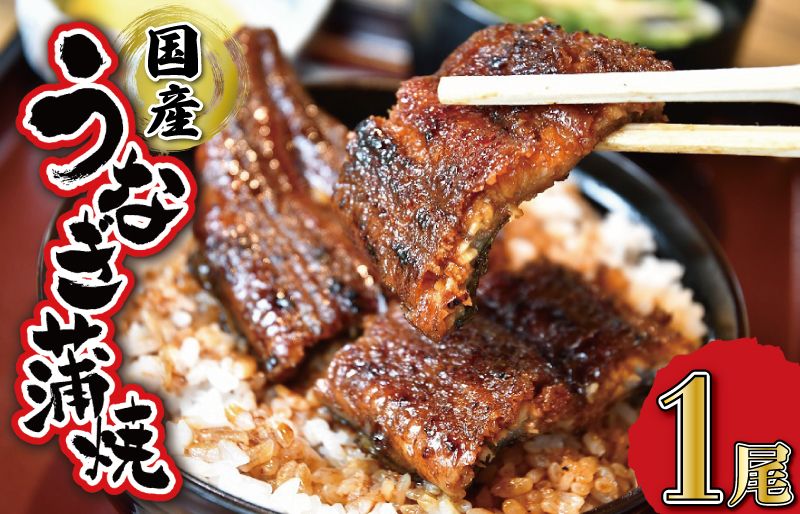 うなぎのかば焼き 1尾入り (タレ2本入り) うな丼 丼 蒲焼 精力 国産 三重 お祝い 特別な日 有名店 行列 職人技 タレ UM1
