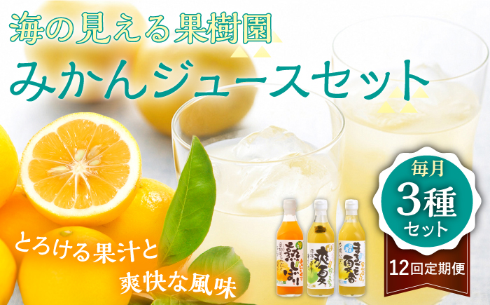 【全12回定期便】【自家栽培の柑橘のみを使用】みかん ジュース 3本 セット【善果園】 [KAA526]